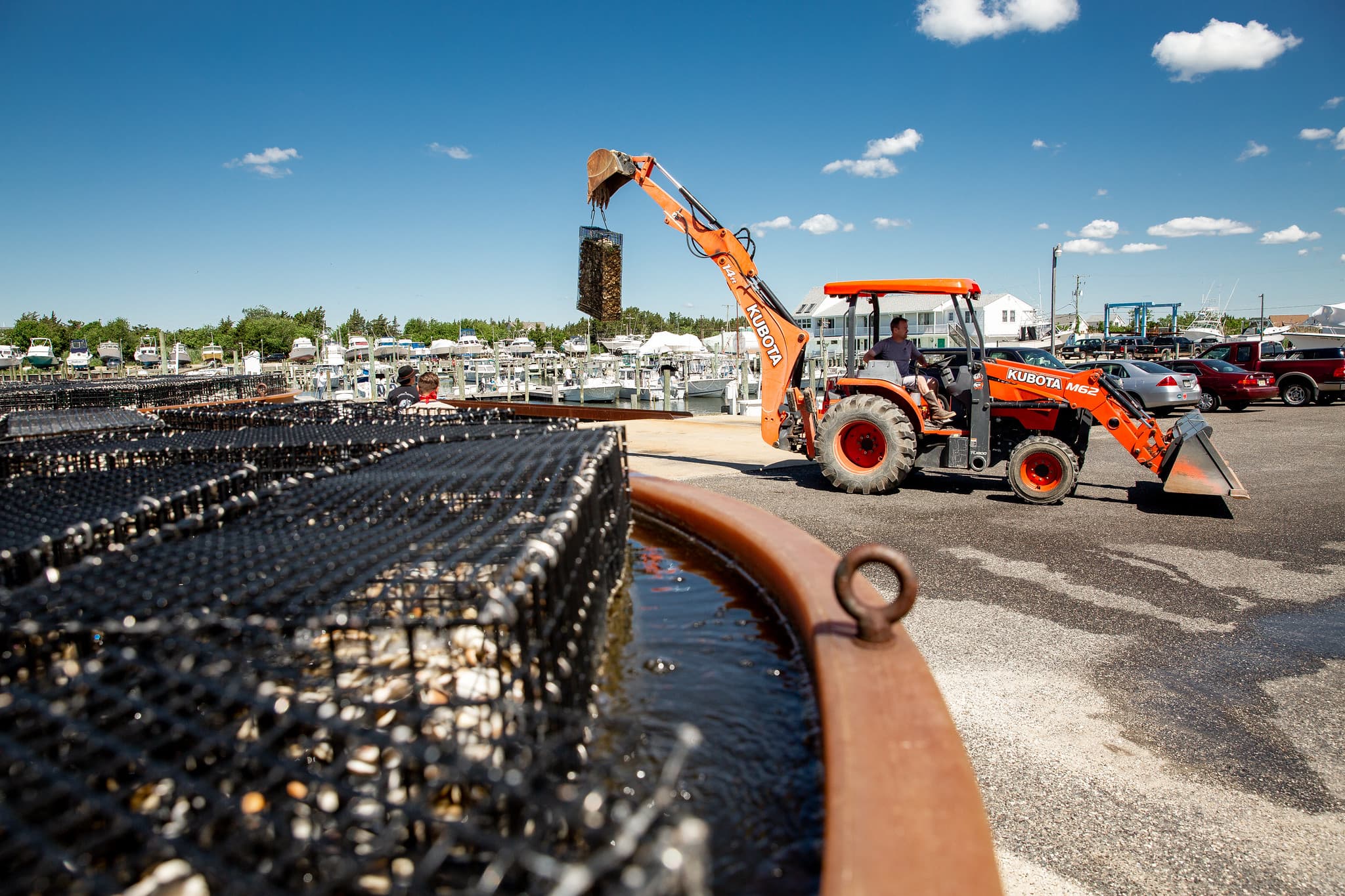 Oyster Update 2021 Photo 2 Oyster Update 2021 Photo 2