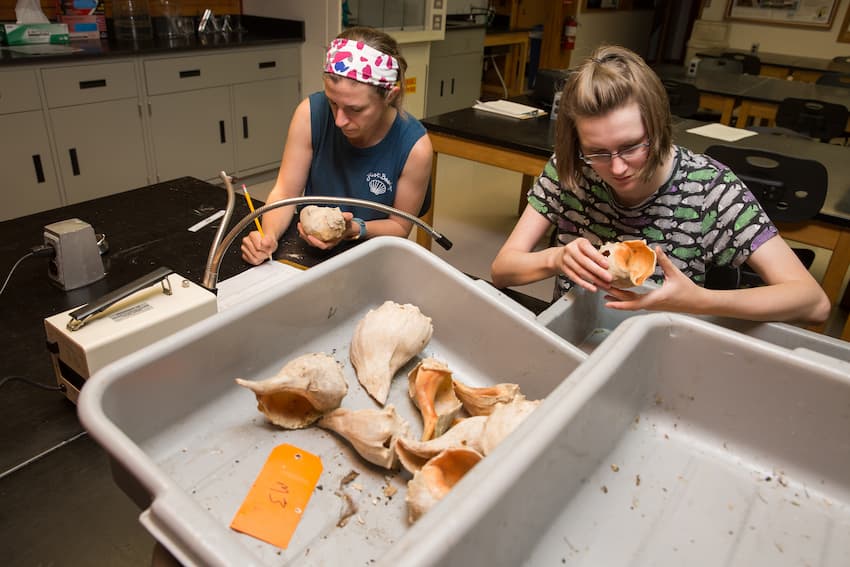 Oyster Update 2021 Photo 7 Oyster Update 2021 Photo 7