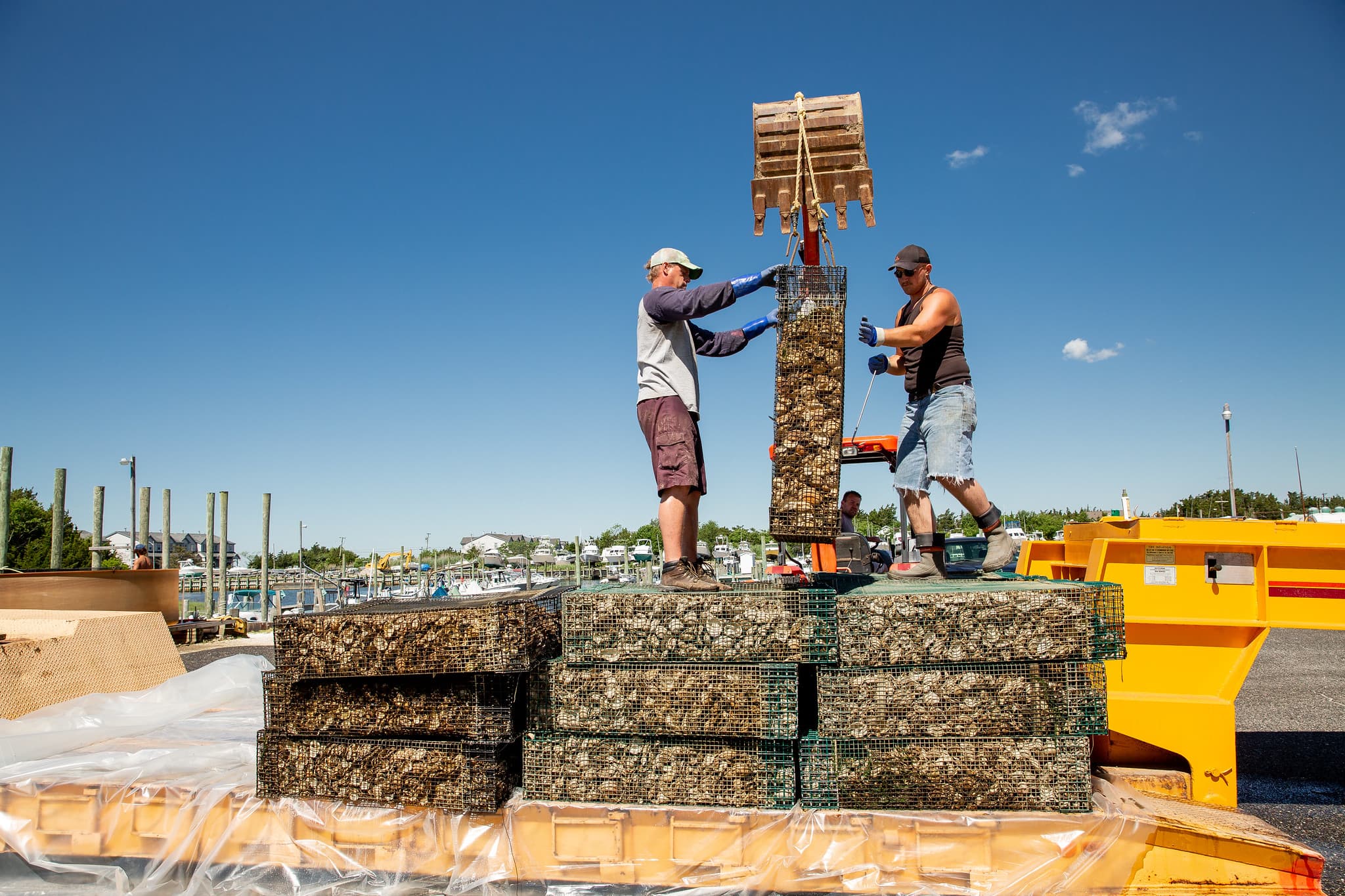 Oyster Update 2021 Photo 9 Oyster Update 2021 Photo 9