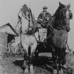 Jacob Crystal with his horses, Boyd and Daisey, 1920