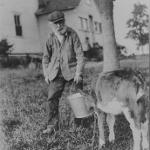 Raphael Crystal, Zeda, bringing water to a calf in front of the family homestead, 1928
