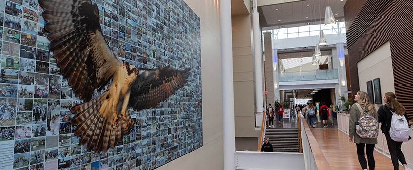 students admiring the 50th in Fight mural students admiring the 50th in Fight mural