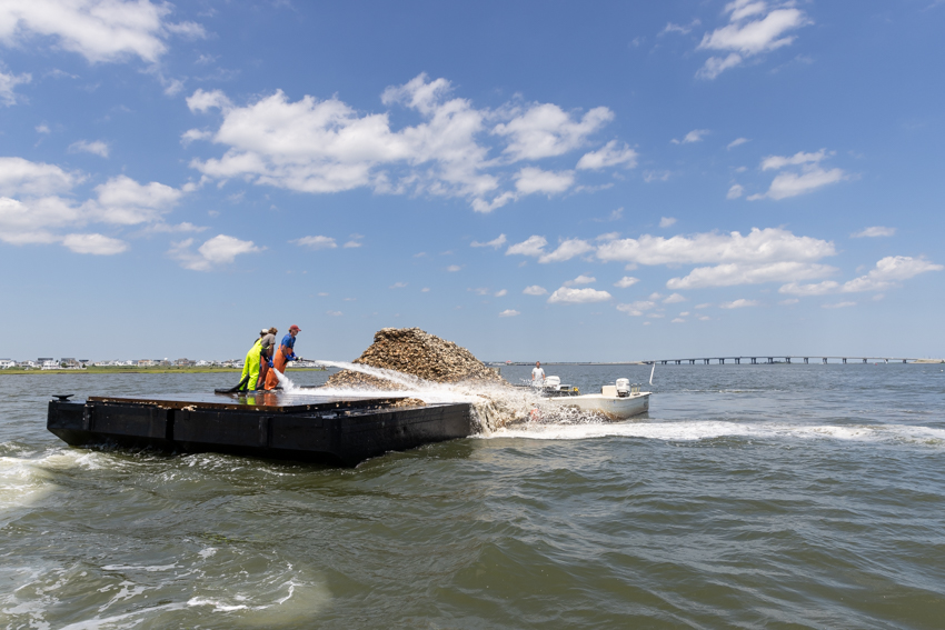 Mill Creek Reef Photo 4 Mill Creek Reef Photo 4