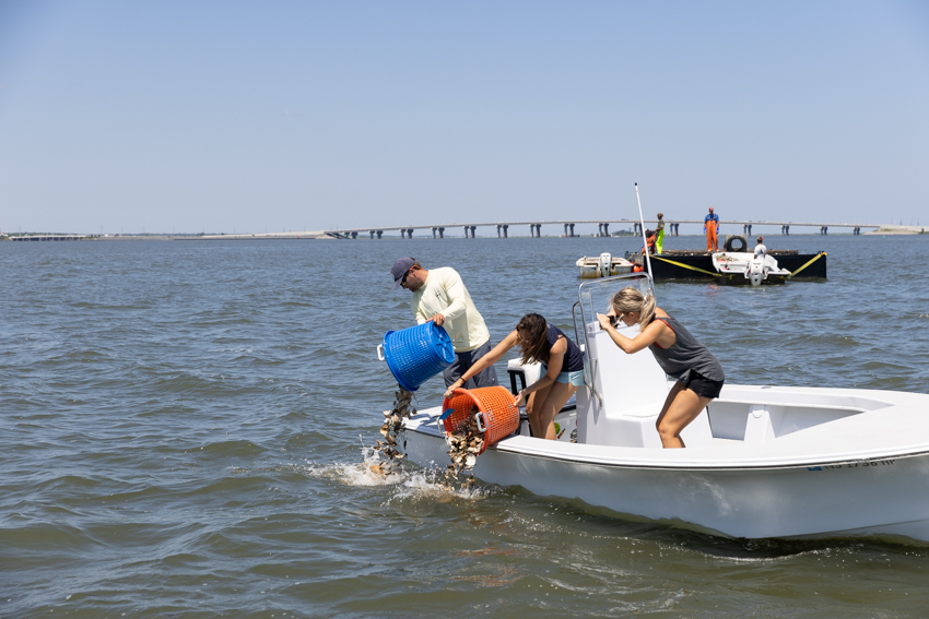 Mill Creek Reef Photo 5 Mill Creek Reef Photo 5