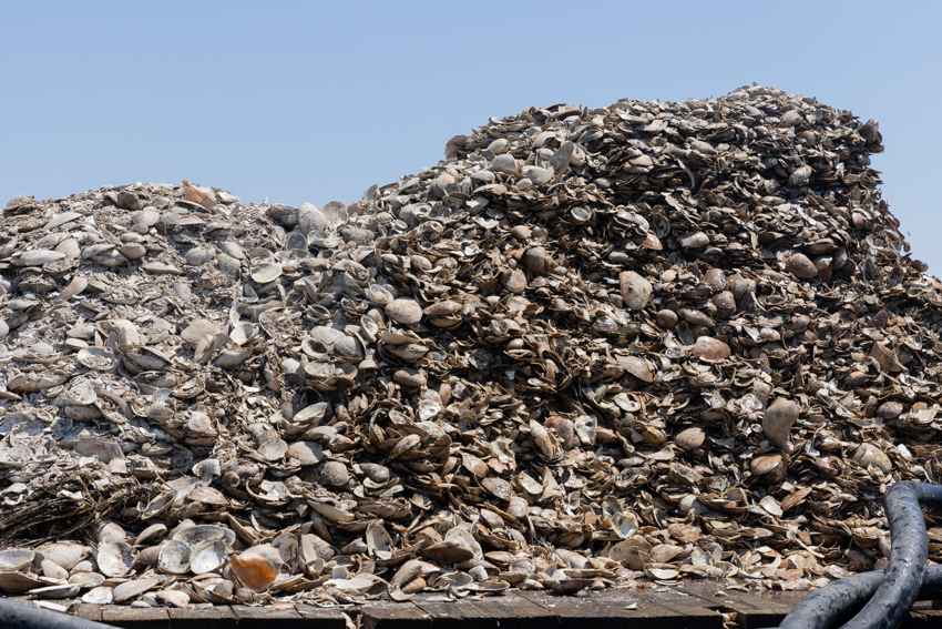 Mill Creek Reef Photo 3 Mill Creek Reef Photo 3