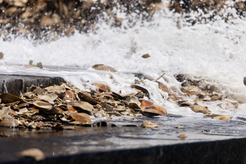 Mill Creek Reef Photo 6 Mill Creek Reef Photo 6