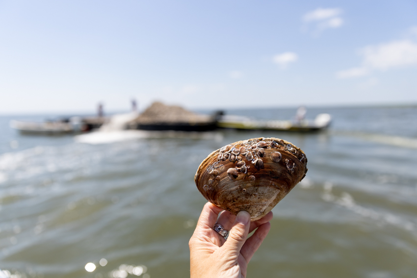 Mill Creek Reef Photo 2 Mill Creek Reef Photo 2