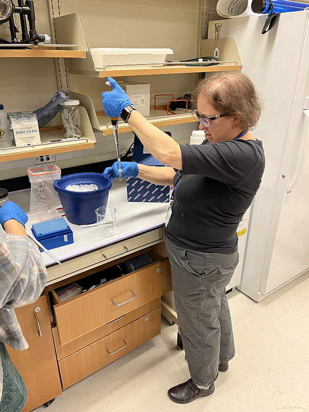 Dr. Tara Luke extracting DNA from scat Dr. Tara Luke extracting DNA from scat