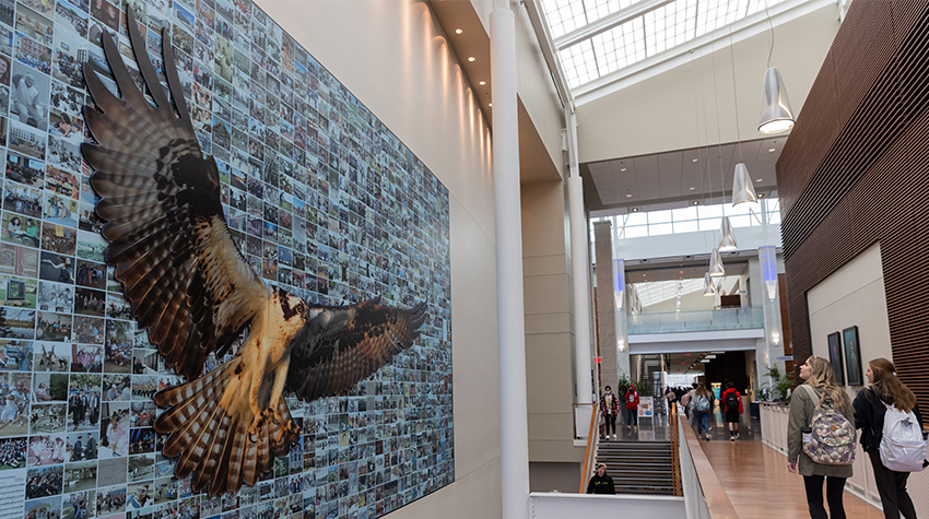 50th in Flight mural in the Campus Center 50th in Flight mural in the Campus Center