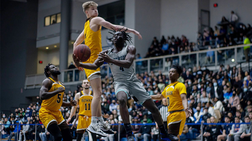 Ospreys at a basketball game Ospreys at a basketball game