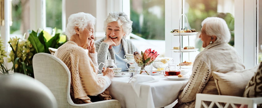 A group of older women having tea together A group of older women having tea together