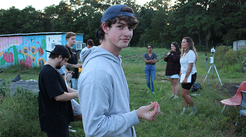 Hemp at the Sustainability Farm Photo 5 Hemp at the Sustainability Farm Photo 5