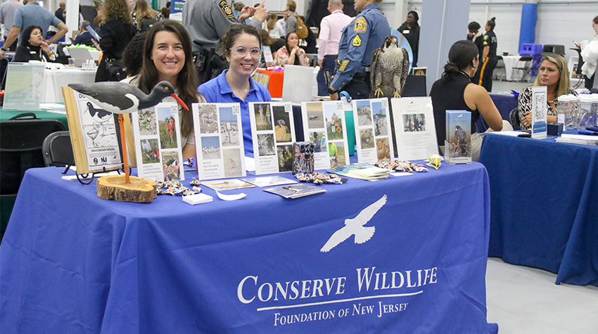 A table for Conserve Wildlife A table for Conserve Wildlife