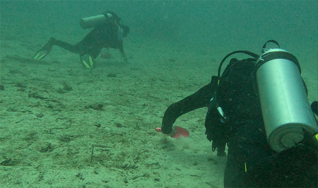 Camilla Alves-Souto Photo 1 Camilla Alves-Souto Photo 1