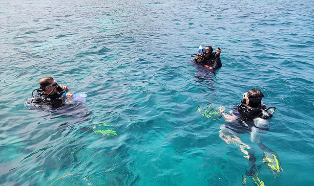 Camilla Alves-Souto Photo 2 Camilla Alves-Souto Photo 2