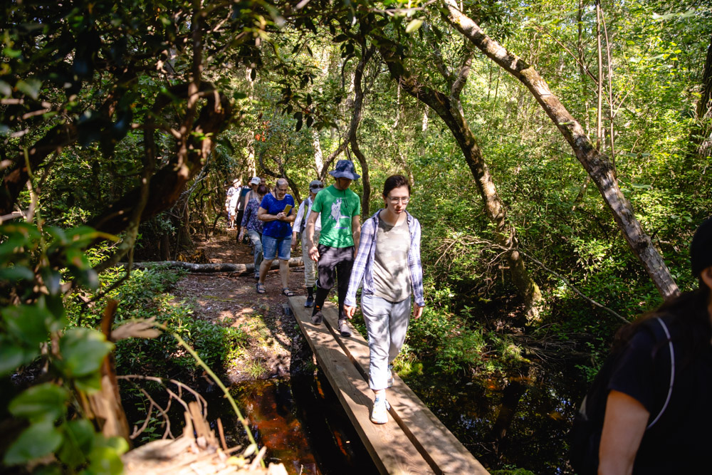 Pinelands Summer Short Course Photo 1 Pinelands Summer Short Course Photo 1