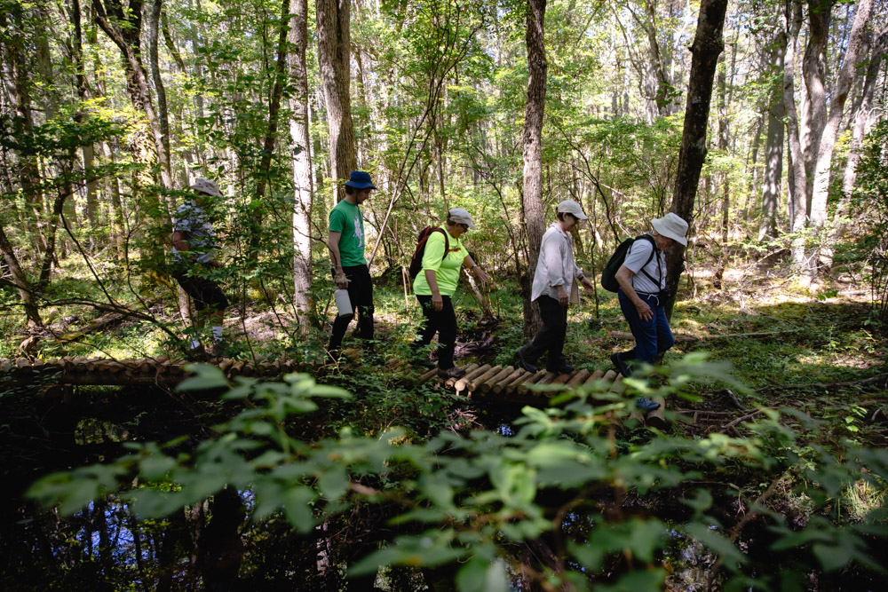 Pinelands Summer Short Course Photo 4 Pinelands Summer Short Course Photo 4