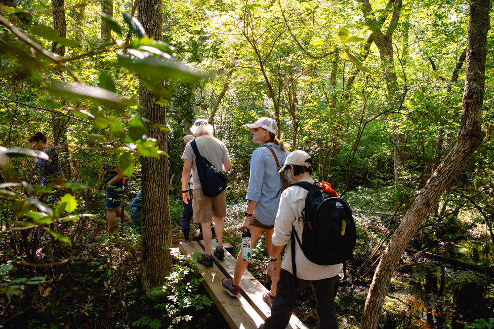 Pinelands Summer Short Course Photo 5 Pinelands Summer Short Course Photo 5