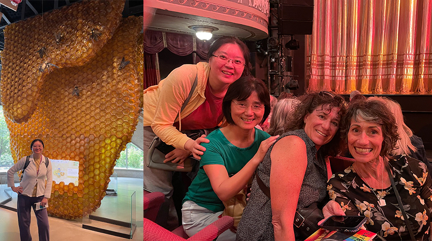 A faculty member next to honeycomb in the Museum of National History and a group selfie of a faculty group attending a Broadway show. 
Courtesy of Mary Lou Galantino. A faculty member next to honeycomb in the Museum of National History and a group selfie of a faculty group attending a Broadway show. 
Courtesy of Mary Lou Galantino.