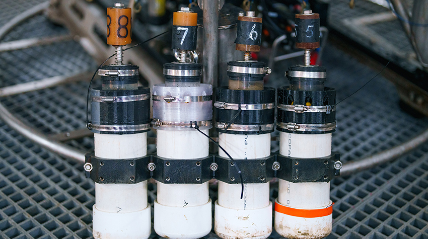 Lauren Seyler's deep-sea expedition Photo 9 Lauren Seyler's deep-sea expedition Photo 9