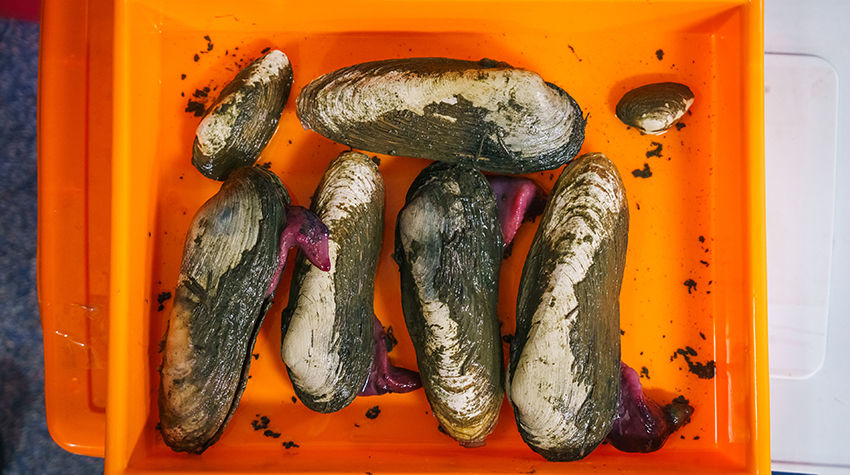 Lauren Seyler's deep-sea expedition Photo 8 Lauren Seyler's deep-sea expedition Photo 8