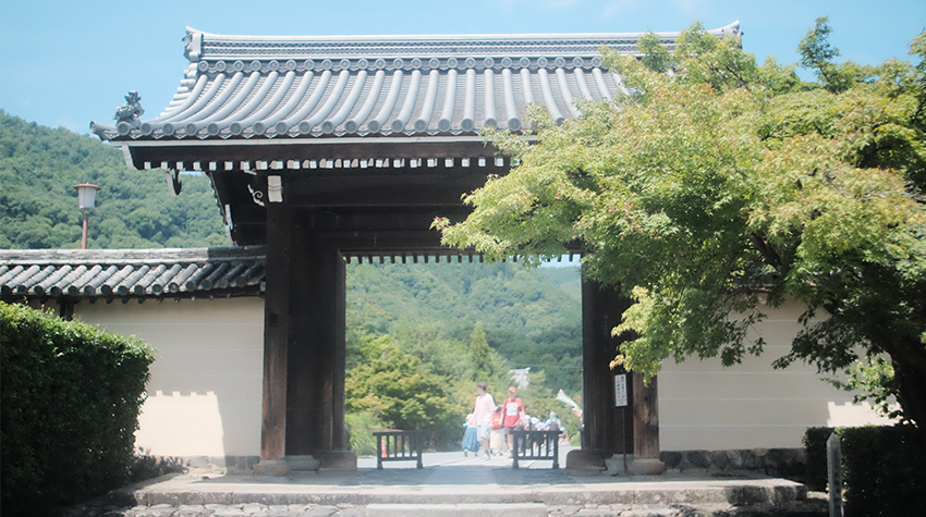 Kyoto Shrine. Photo by Avery Garlic.  Kyoto Shrine. Photo by Avery Garlic.