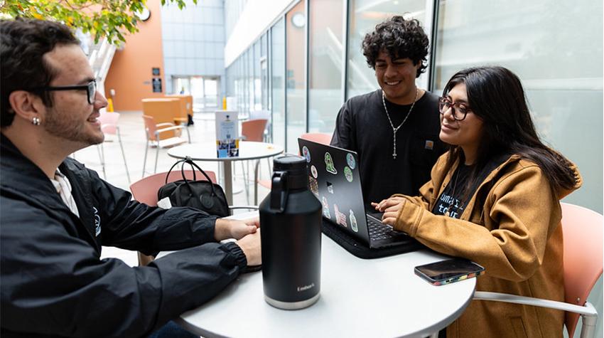 Students studying together Students studying together