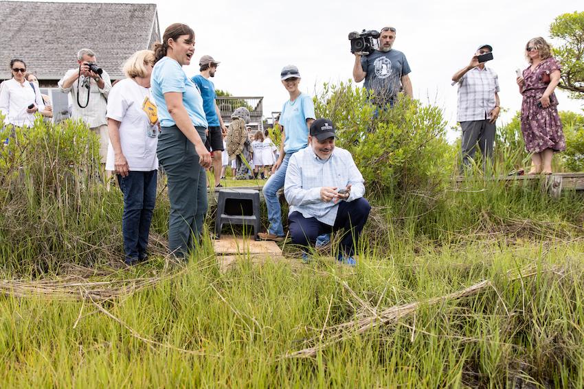 President Joe President Joe