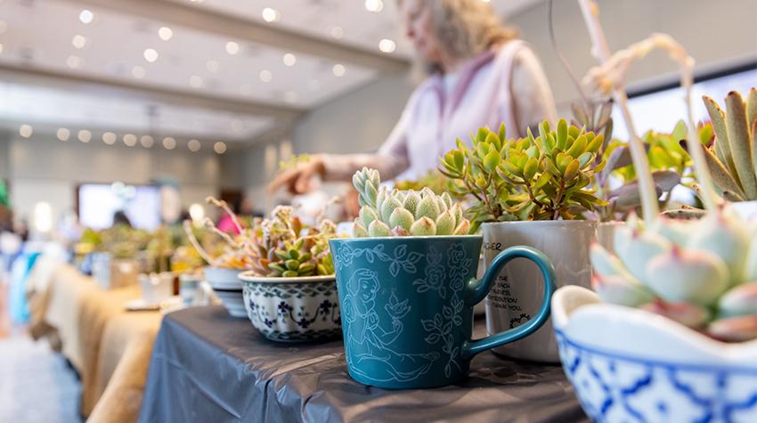 Scenes from Wellness Day Scenes from Wellness Day