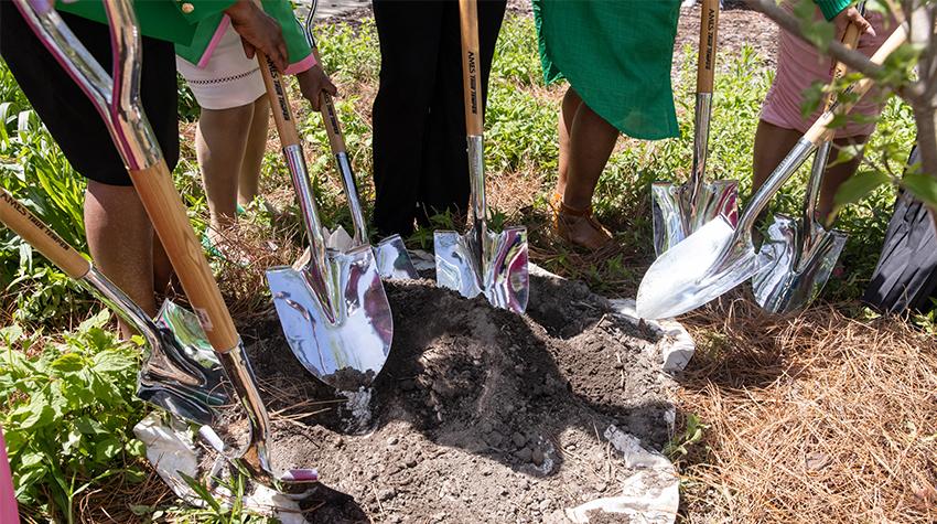 Juanita J High Tree Planting Photo 1 Juanita J High Tree Planting Photo 1