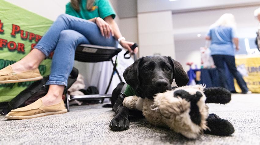 SCOSA Festival 2025 Photo 5 SCOSA Festival 2025 Photo 5