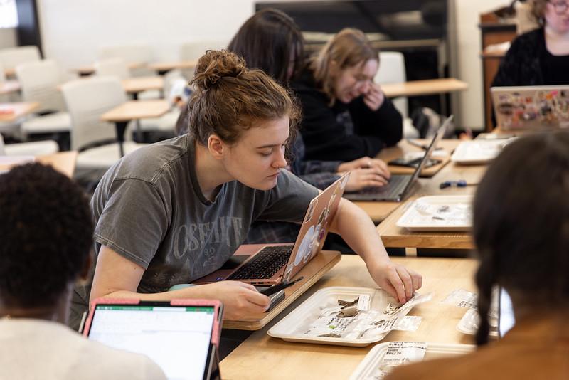 Archaeology Minor Student Examining Artifacts Archaeology Minor Student Examining Artifacts