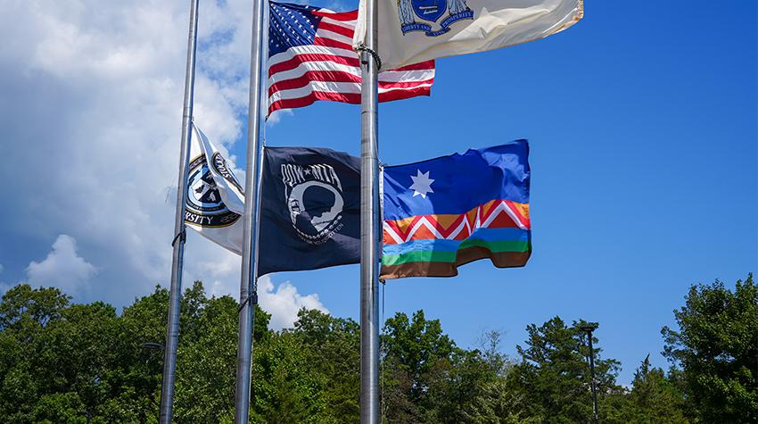 The flags (at half-mast for 9/11) The flags (at half-mast for 9/11)