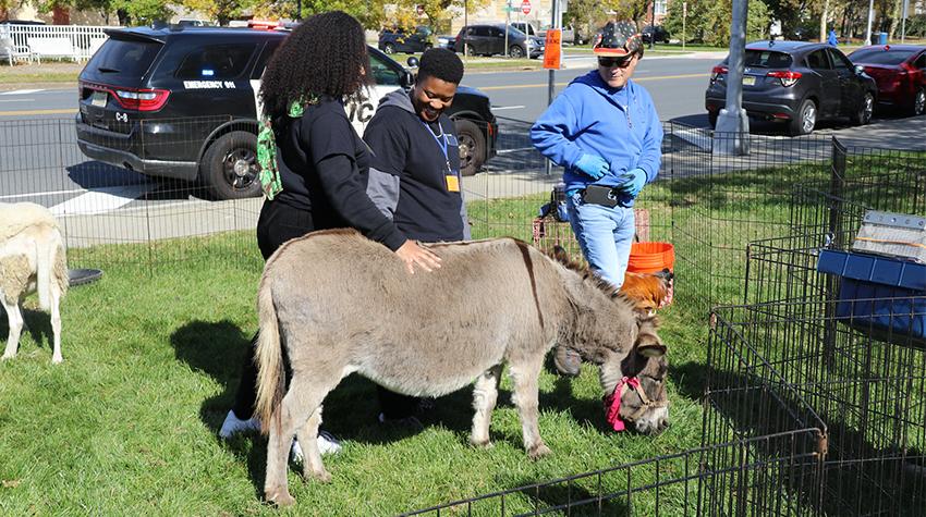 Students enjoying the petting zoo during Party in the Park Students enjoying the petting zoo during Party in the Park
