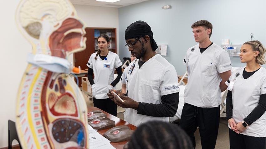 Northeast Chiropractic Northeast Chiropractic