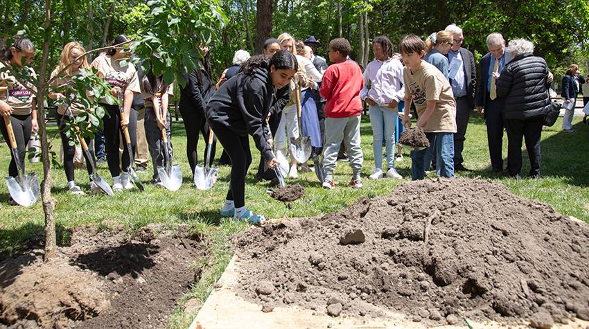 An attendee shoveling dirt on top of the sapling's roots An attendee shoveling dirt on top of the sapling's roots