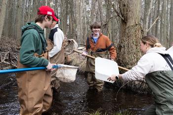 Students conduct stream sampling and aquatic fieldwork to study water quality and ecosystem health.