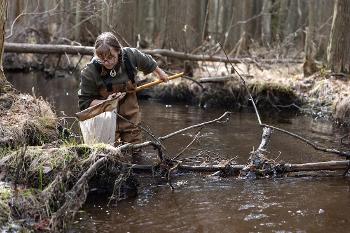 A student collects aquatic samples in a stream to analyze water quality and ecosystem health.