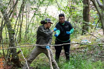 Students perform hands-on environmental sampling and analysis in forest ecosystems.