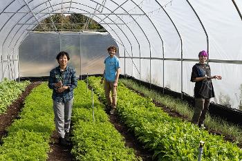 Biology students explore plant growth, ecology and sustainable agriculture through applied learning in Stockton University’s greenhouses.
