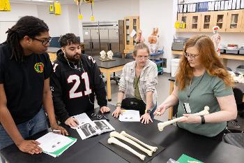 Students explore human anatomy through small-group instruction, close observation and direct work with anatomical models.