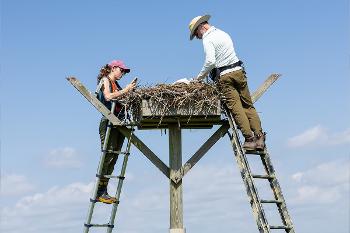 Students participate in hands-on wildlife research, examining a large bird nest while gaining experience in ecology, animal biology and conservation practices.