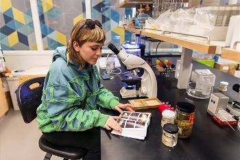 A Biology student connects microscope work with specimen research in one of Stockton University’s teaching laboratories.