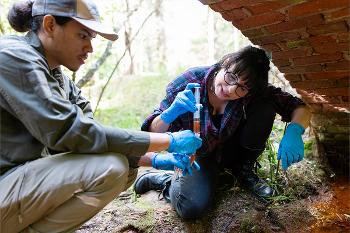 Biology students collect and examine water samples in a natural setting, applying laboratory techniques to real-world environmental research.