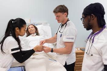 Stockton nursing students strengthen teamwork and clinical skills through realistic simulation-based patient care experiences.