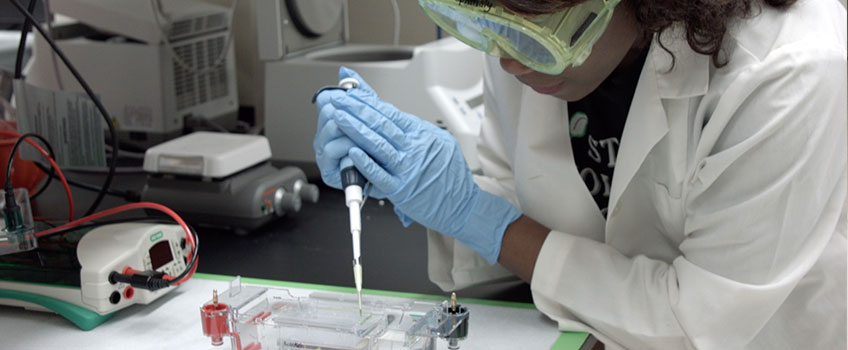 Biochemistry Program Gallery Photo 1 Biochemistry Program Gallery Photo 1