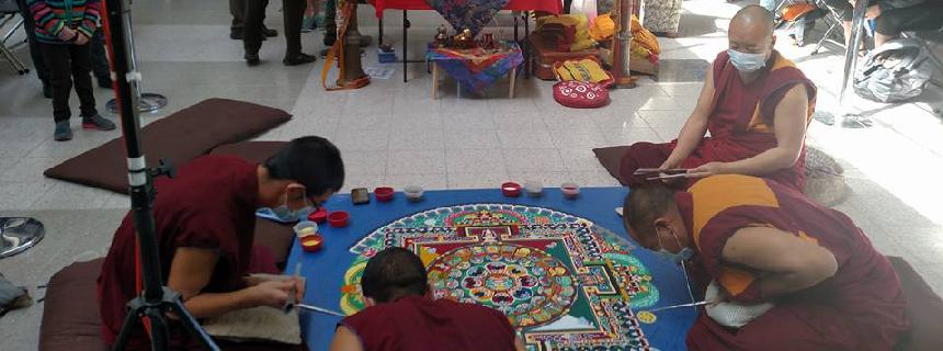 Wellness - Peer Education Image Slider Photo 3 Wellness - Peer Education Image Slider Photo 3