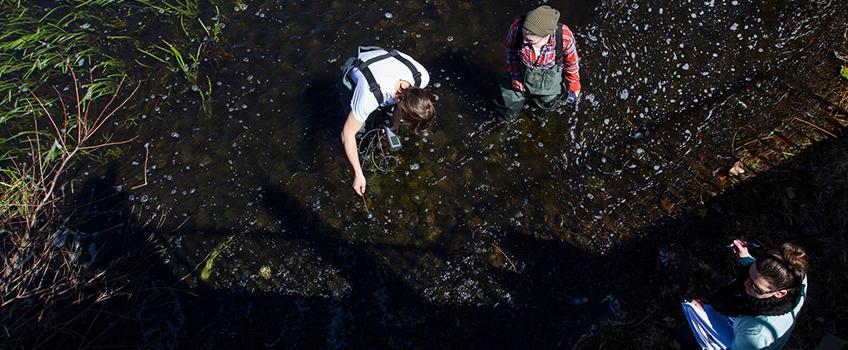 Environmental Sciences Image Gallery Photo 7 Environmental Sciences Image Gallery Photo 7