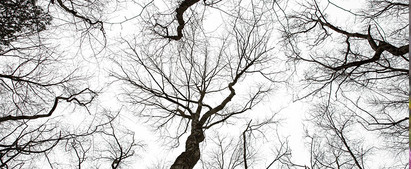 Environmental Sciences Image Gallery Photo 4 Environmental Sciences Image Gallery Photo 4