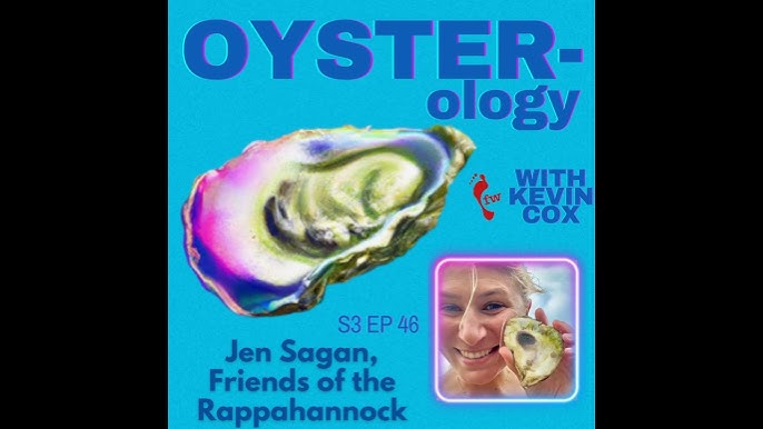 Oyster-ology